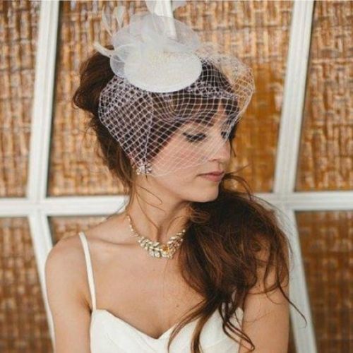 29 Birdcage Veils And How To Make One