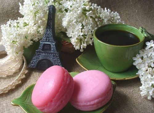 French Macaroon Gift for Guests Wedding Favor