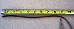 Paracord Ruler