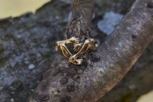 Unique Rings For Women